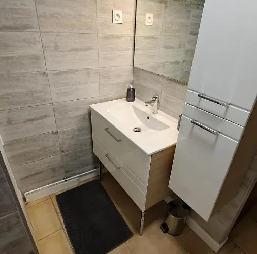 Apartament Agreable Et Moderne Centre *